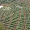 Kolaborasi Teknologi dan Inovasi Pertanian, Sumedang Siap Wujudkan Pertanian Modern 2026