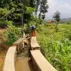 BBWS Cimanuk Cisanggarung Dorong Ketahanan Pangan Lewat Peningkatan Jaringan Irigasi di Sumedang