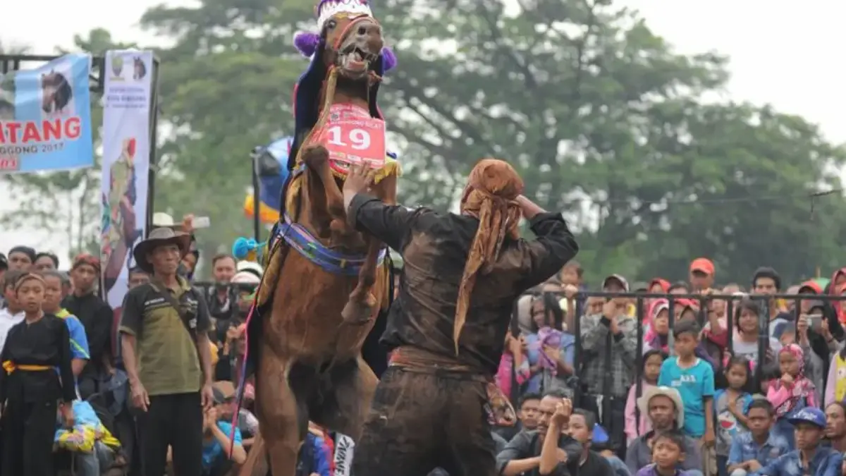 Makna Ritual Kuda Renggong