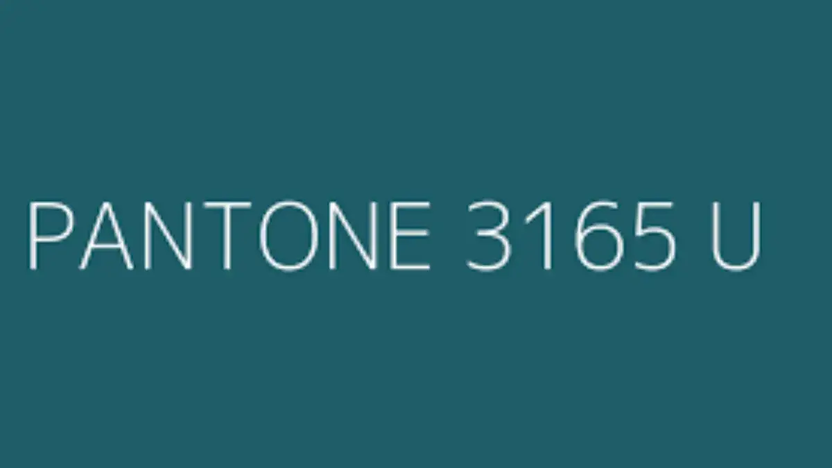 Keindahan Pantone 3165 U, Warna yang Mewakili Kedalaman dan Keanggunan dalam Desain