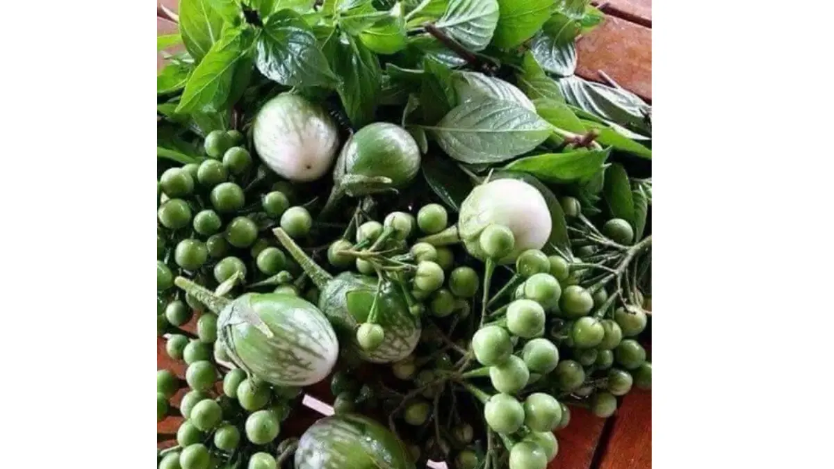 8 Manfaat Lalapan Mentah Untuk Kesehatan dan Bikin Awet Muda 8 Manfaat Lalapan Mentah Untuk Kesehatan dan Bikin Awet Muda