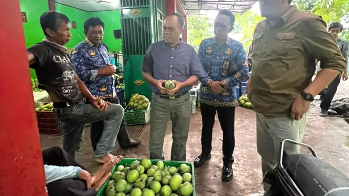 Proses Indikasi Geografis Mangga Gedong Gincu Sumedang Masuki Tahap Pemeriksaan Substantif Kemenkumham