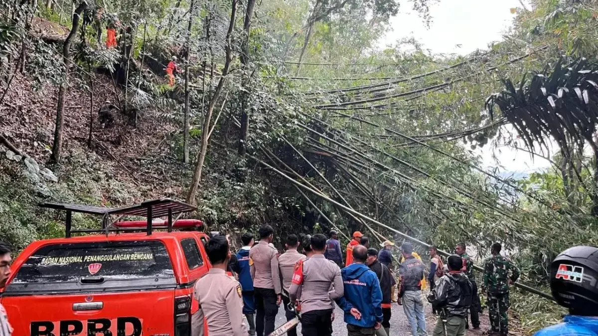 Pohon Tumbang Tutup Akses  Cimalaka-Cipadung Pohon Tumbang Tutup Akses  Cimalaka-Cipadung