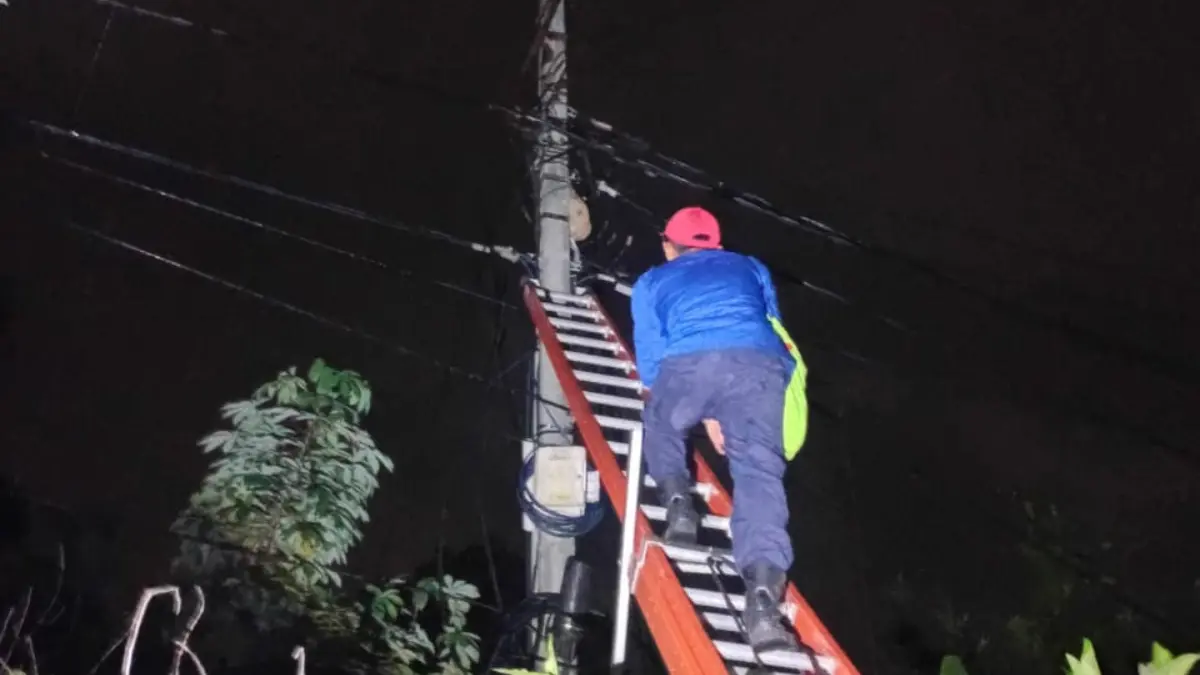 UPT Damkar Tanjungsari untuk melakukan penanganan sarang tawon.