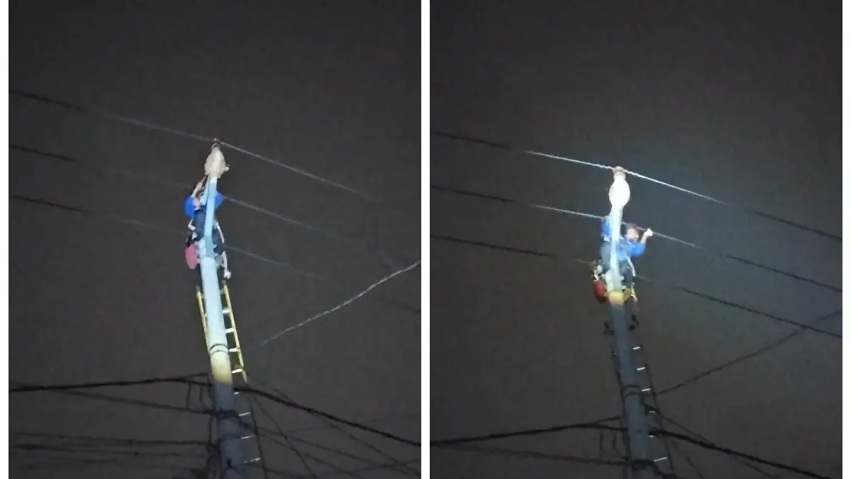 Damkar Tanjungsari Evakuasi Sarang Tawon di Jalur Listrik Tegangan Tinggi, Warga Aman dari Sengatan