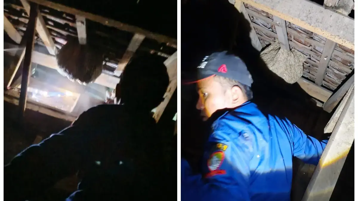 Damkar Tanjungsari Evakuasi Sarang Tawon di Atap Rumah Warga Leles, Jatinangor, Warga Aman dari Sengatan