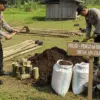 Bhabinkamtibmas Kebonjati Dorong Ketahanan Pangan Lewat Budidaya Ubi Cilembu dalam Polybag