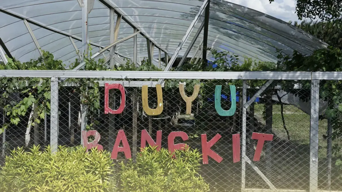 Cerita Petani Anggur Duyu Bangkit: Reforma Agraria Tak Hanya Soal Tanah, tapi Juga Kemandirian