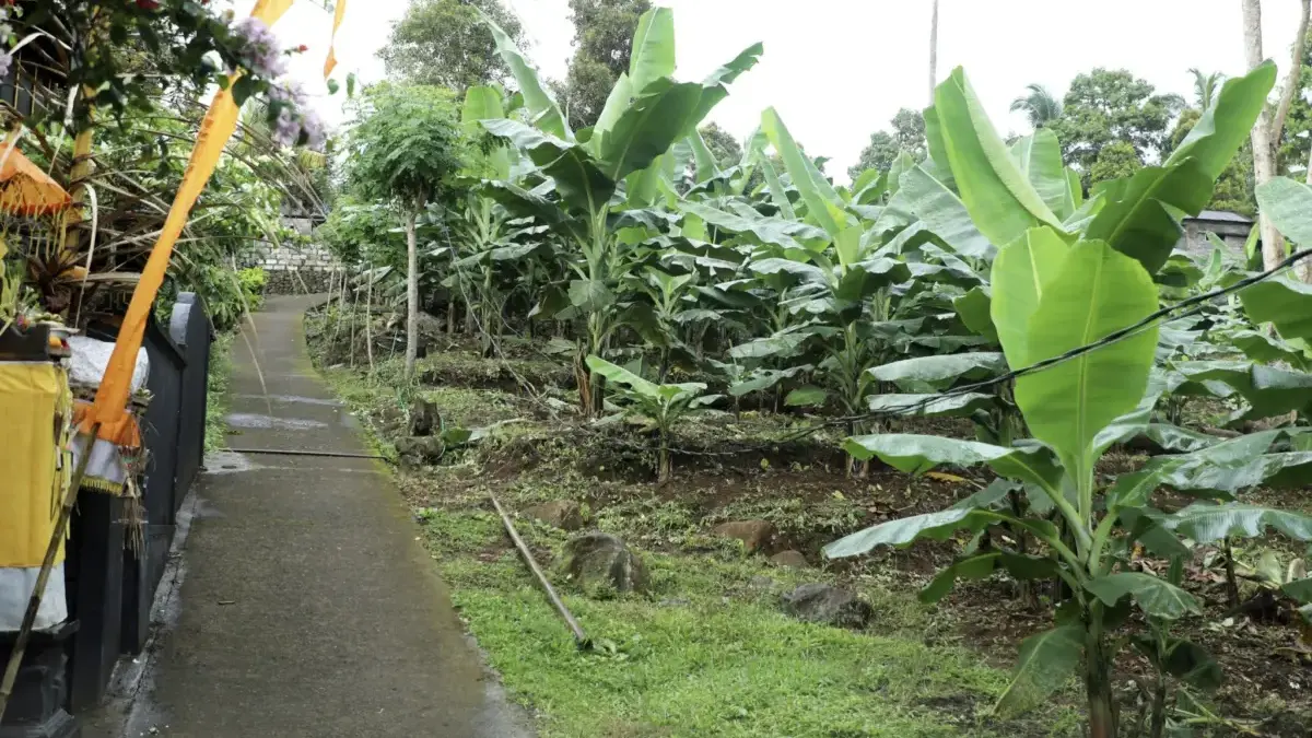Perjalanan Reforma Agraria di Asahduren, Sertipikat Tanah Ulayat Buka Akses Ekonomi Masyarakat
