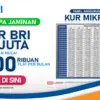 Update Tabel Pinjaman KUR BRI 2025 Plafon 50 Juta: Pilihan Tenor & Cara Pengajuan Terbaru