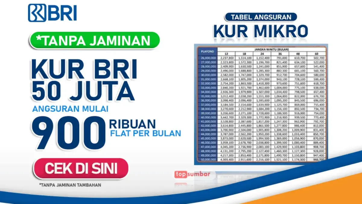 Update Tabel Pinjaman KUR BRI 2025 Plafon 50 Juta: Pilihan Tenor & Cara Pengajuan Terbaru