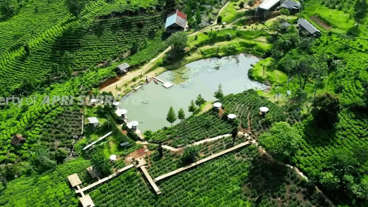 Mau TIps Liburan Nataru Super Hemat? Ini Dia 5 Destinasi Wisata Gratis di Sumedang yang Wajib Kamu Kunjungi