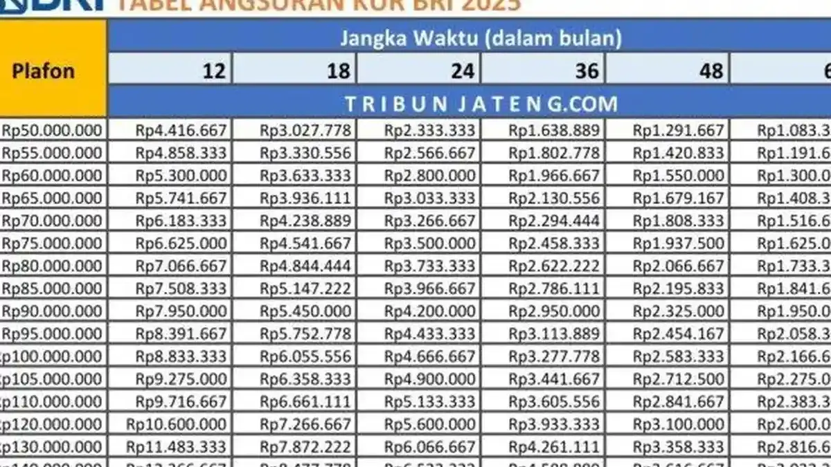 Meroketkan Usaha dengan KUR BRI 2025: Simulasi Pinjaman Rp 100 Juta