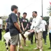 Ternak Domba Dongkrak Ketahanan Pangan
