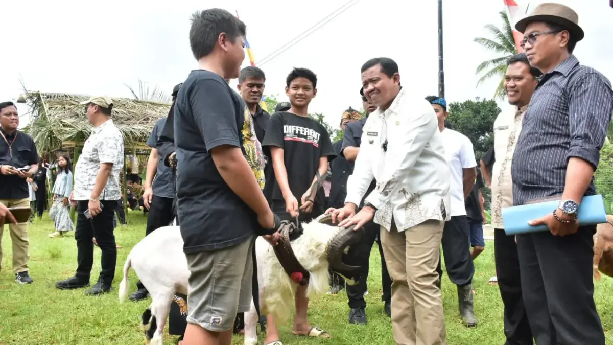 Ternak Domba Dongkrak Ketahanan Pangan
