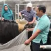 Panen Ikan Nila di Desa Cibeusi Jatinangor, Pemdes Salurkan Protein Hewani untuk Tekan Stunting