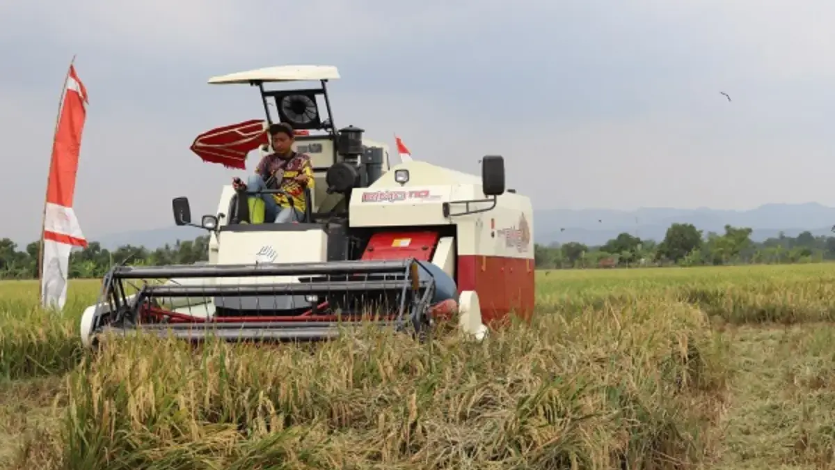 Perkuat Rantai Pasok Pangan, Produksi Petani Starbak Bakal Terhubung ke KDMP dan Dapur MBG Perkuat Rantai Pasok Pangan, Produksi Petani Starbak Bakal Terhubung ke KDMP dan Dapur MBG