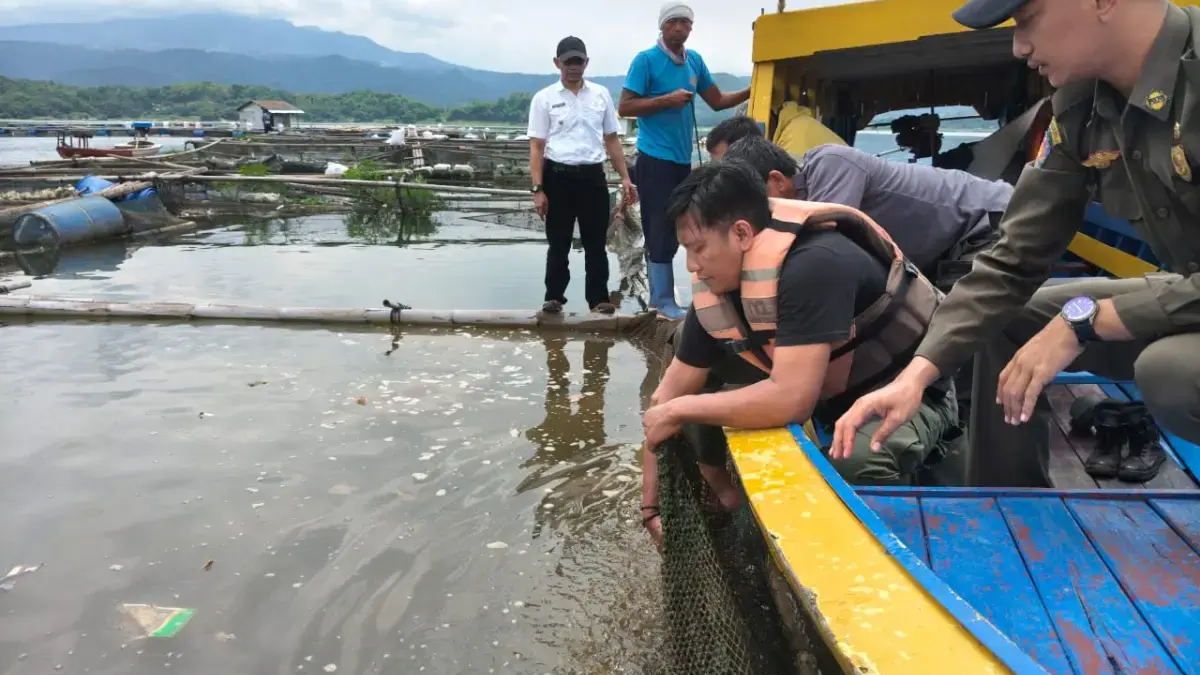 Kualitas Air Terancam, Aktivitas KJA Dihentikan, Pemda Perketat Pengawasan Bendungan Jatigede Kualitas Air Terancam, Aktivitas KJA Dihentikan, Pemda Perketat Pengawasan Bendungan Jatigede