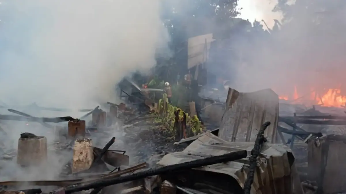 Kandang Ayam di Tanjungsari Kebakaran Hebat, Kerugian Capai Rp750 Juta Kandang Ayam di Tanjungsari Kebakaran Hebat, Kerugian Capai Rp750 Juta