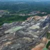 Tambang Emas di Area IKN: Fakta Mengejutkan di Balik Bukaan Tambang Ilegal yang Kian Marak