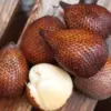 7 Manfaat Buah Salak untuk Kesehatan yang Jarang Diketahui