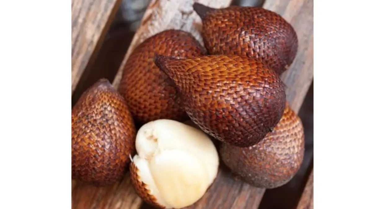 7 Manfaat Buah Salak untuk Kesehatan yang Jarang Diketahui 7 Manfaat Buah Salak untuk Kesehatan yang Jarang Diketahui