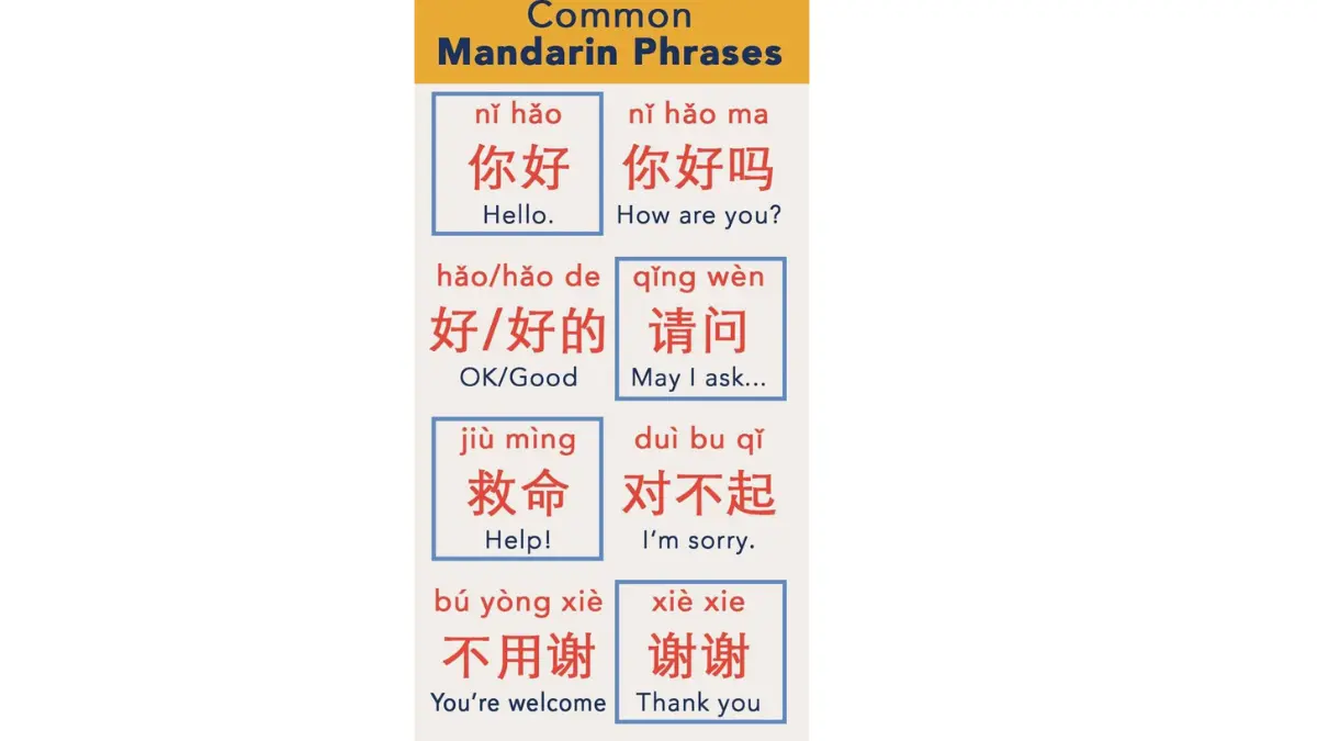 3 Tips belajar Pemula Bahasa Mandarin Yang Simpel dan Seru! 3 Tips belajar Pemula Bahasa Mandarin Yang Simpel dan Seru!