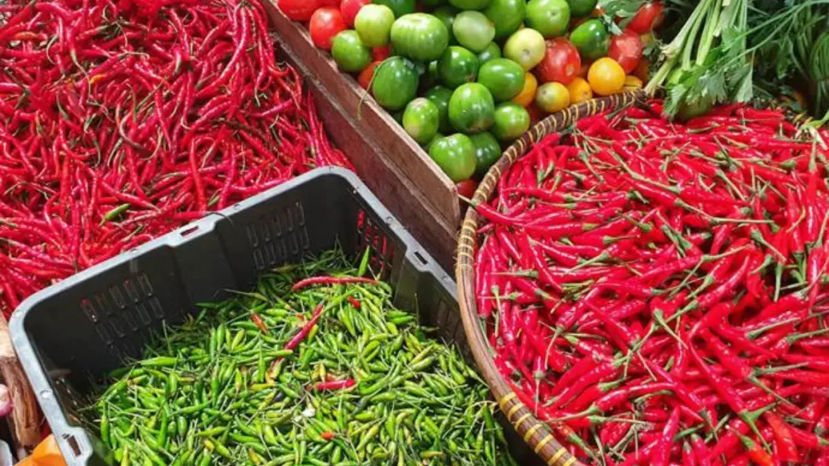 Harga Cabai Rawit Merah di Cimanggung Masih Tinggi Jelang Natal dan Tahun Baru Harga Cabai Rawit Merah di Cimanggung Masih Tinggi Jelang Natal dan Tahun Baru