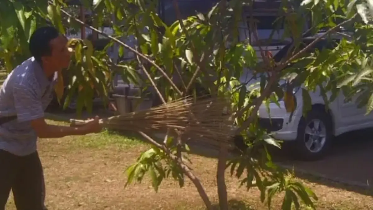 Dari Takbir ke Ketukan Lidi: Sebuah Tradisi yang Memudar di Pangaroan