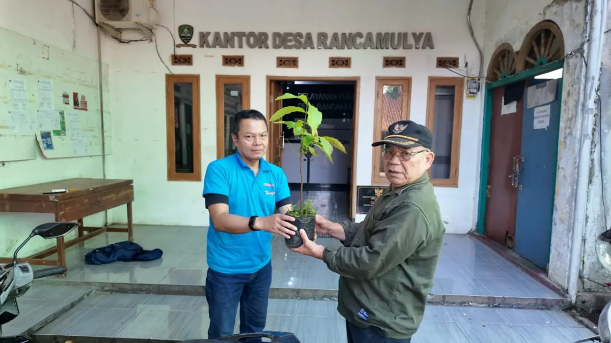 Pemdes Rancamulya Tanam 160 Pohon, Dukung Gerakan Sumedang Menanam Pemdes Rancamulya Tanam 160 Pohon, Dukung Gerakan Sumedang Menanam