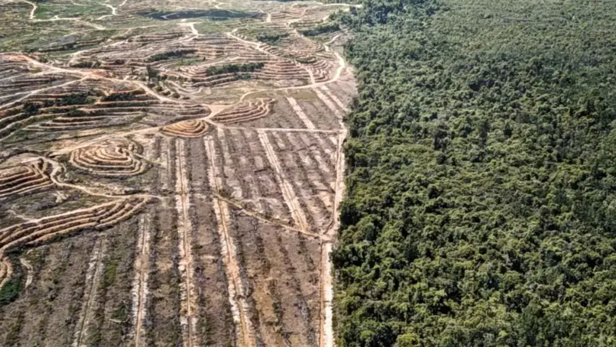 DARURAT! Tambang, Alih Fungsi Lahan, dan Lemahnya Pengawasan Jadi Ancaman Baru Jawa Barat DARURAT! Tambang, Alih Fungsi Lahan, dan Lemahnya Pengawasan Jadi Ancaman Baru Jawa Barat