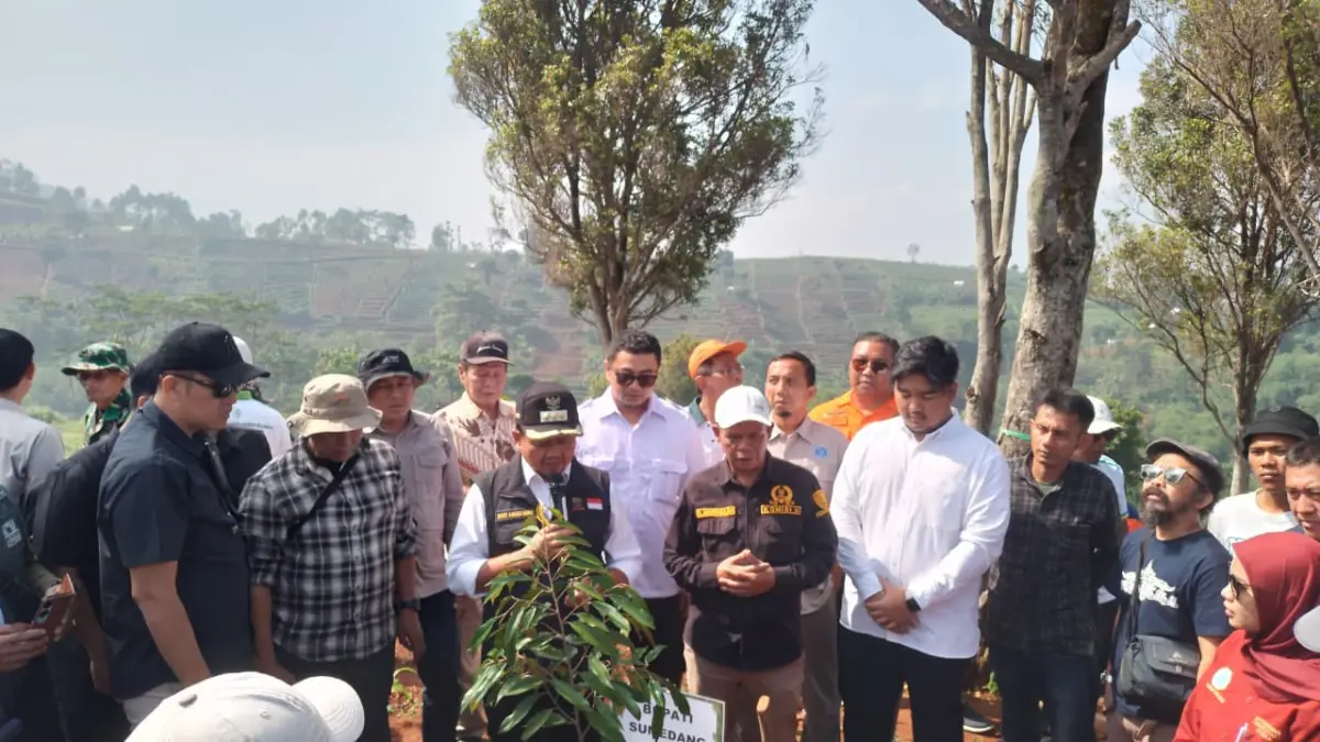 Bekas Galian C Pasir Banteng Dihijaukan Lewat Gerakan Penanaman 30 Ribu Pohon