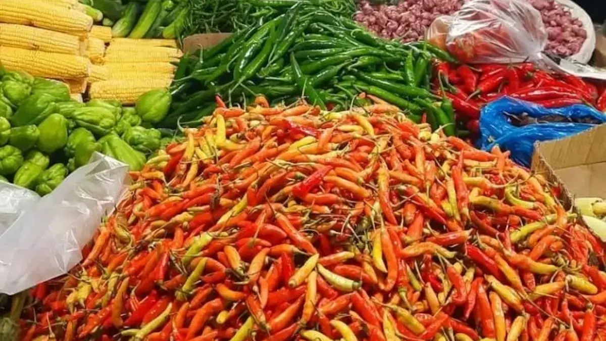 Harga Cabai di Pasar Tanjungsari Naik Jelang Nataru 2026, Dipicu Cuaca Ekstrem Harga Cabai di Pasar Tanjungsari Naik Jelang Nataru 2026, Dipicu Cuaca Ekstrem