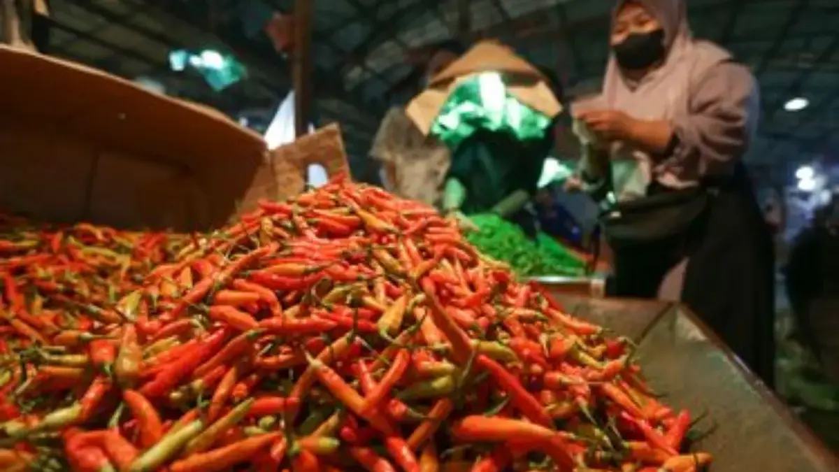 Harga Cabai Rawit Melonjak, Warga Diminta Waspada Kenaikan Harga Jelang Nataru Harga Cabai Rawit Melonjak, Warga Diminta Waspada Kenaikan Harga Jelang Nataru
