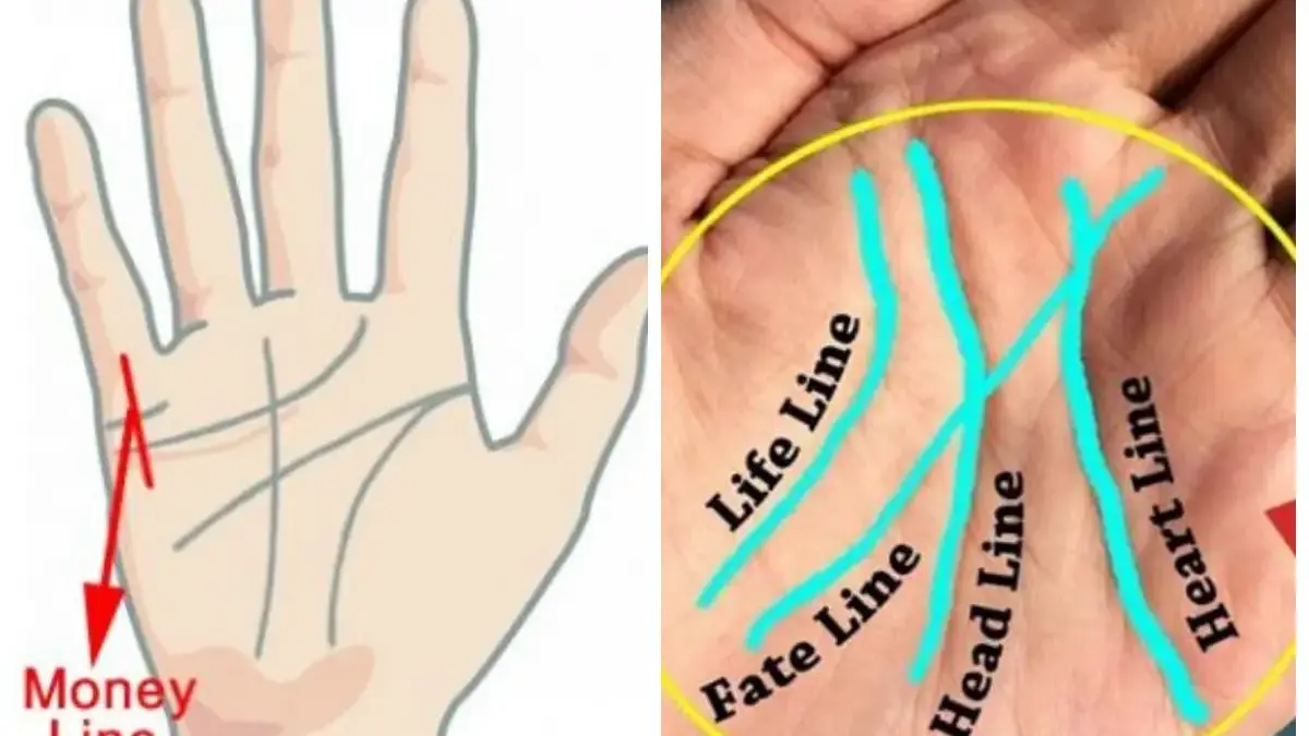 Kenali Cirinya, Ini Garis Tangan Orang Kaya: Membaca Keberuntungan Lewat Telapak