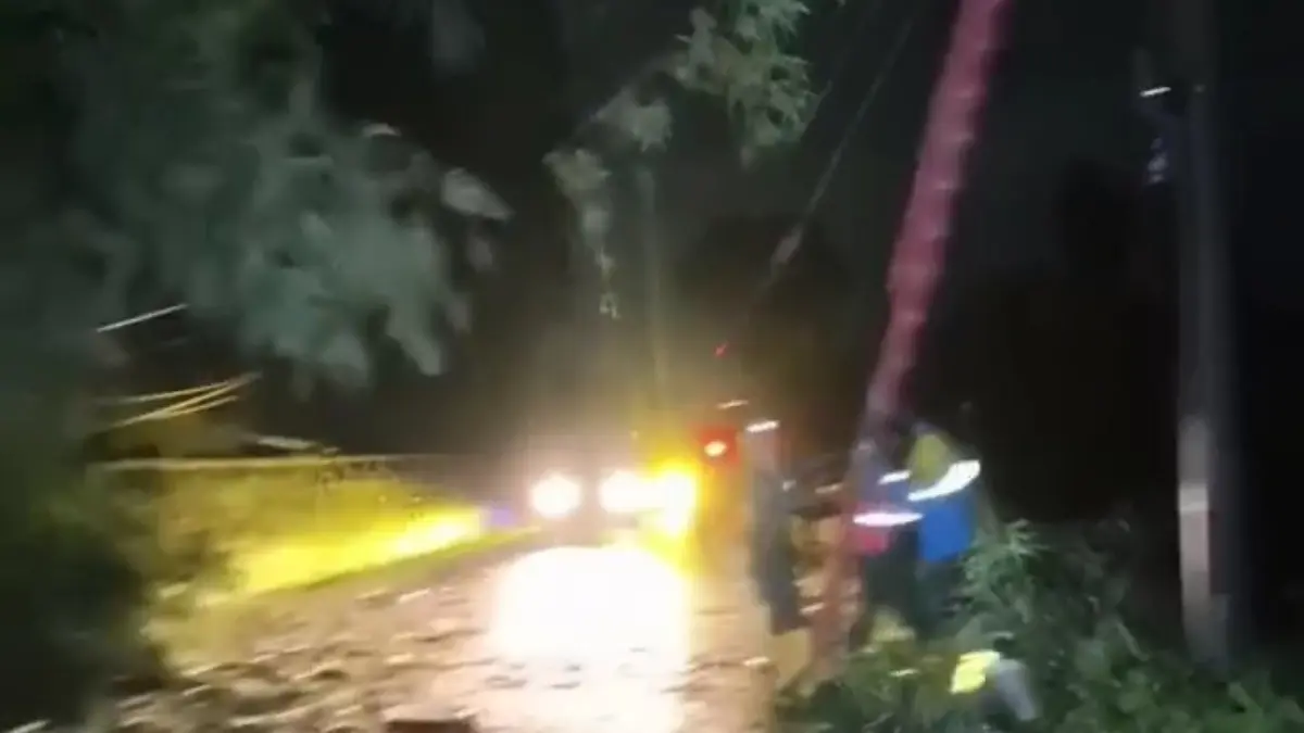 Hujan Deras Picu Longsor di Rancakalong, Jalan Tertutup Material Bambu Longsor Rancakalong