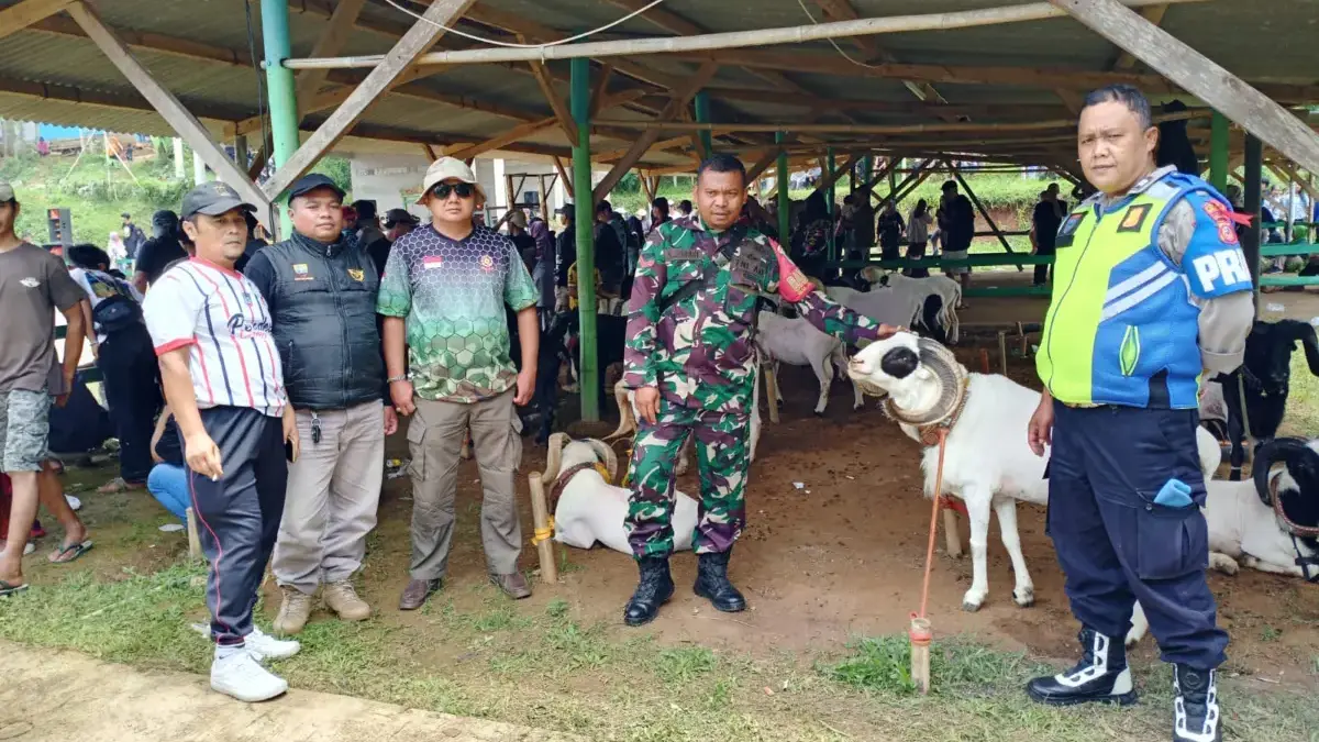 Seni ketangkasan Domba Garut
