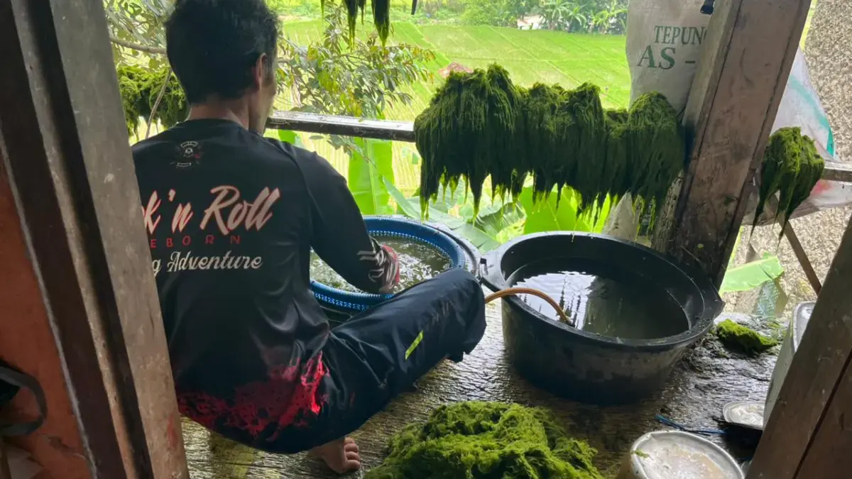 Penjual Lukut untuk Memancing di Jatigede