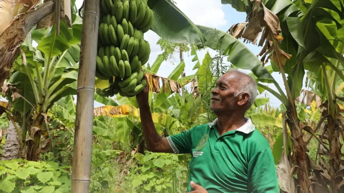 Reforma Agraria Ubah Pola Pikir Warga Desa Bautama Kabupaten Kupang Reforma Agraria Ubah Pola Pikir Warga Desa Bautama Kabupaten Kupang
