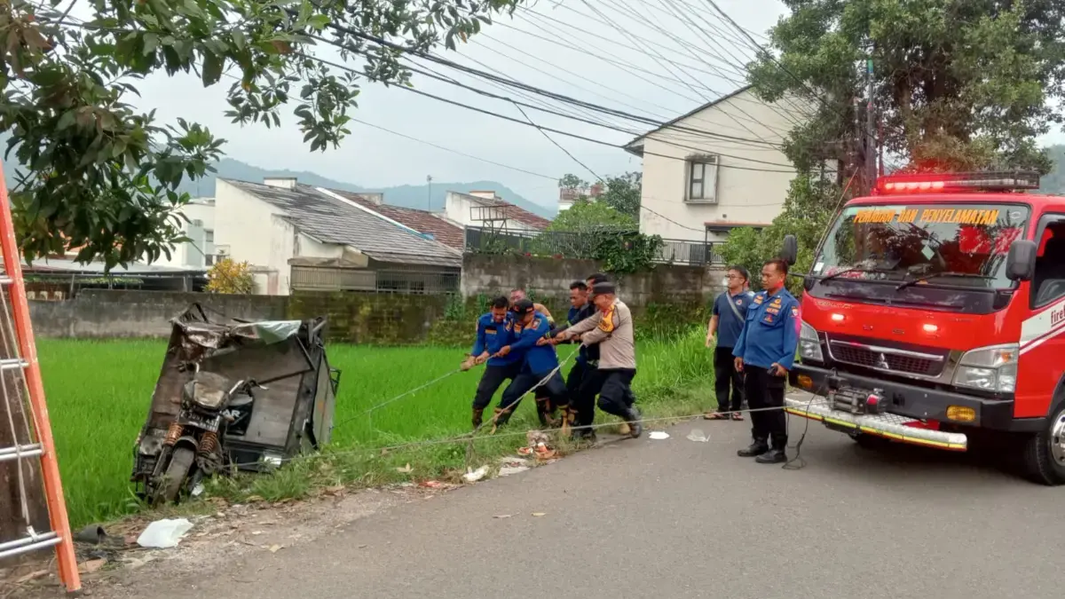 Warga Geger, Sebuah Cator Terperosok ke Sawah.