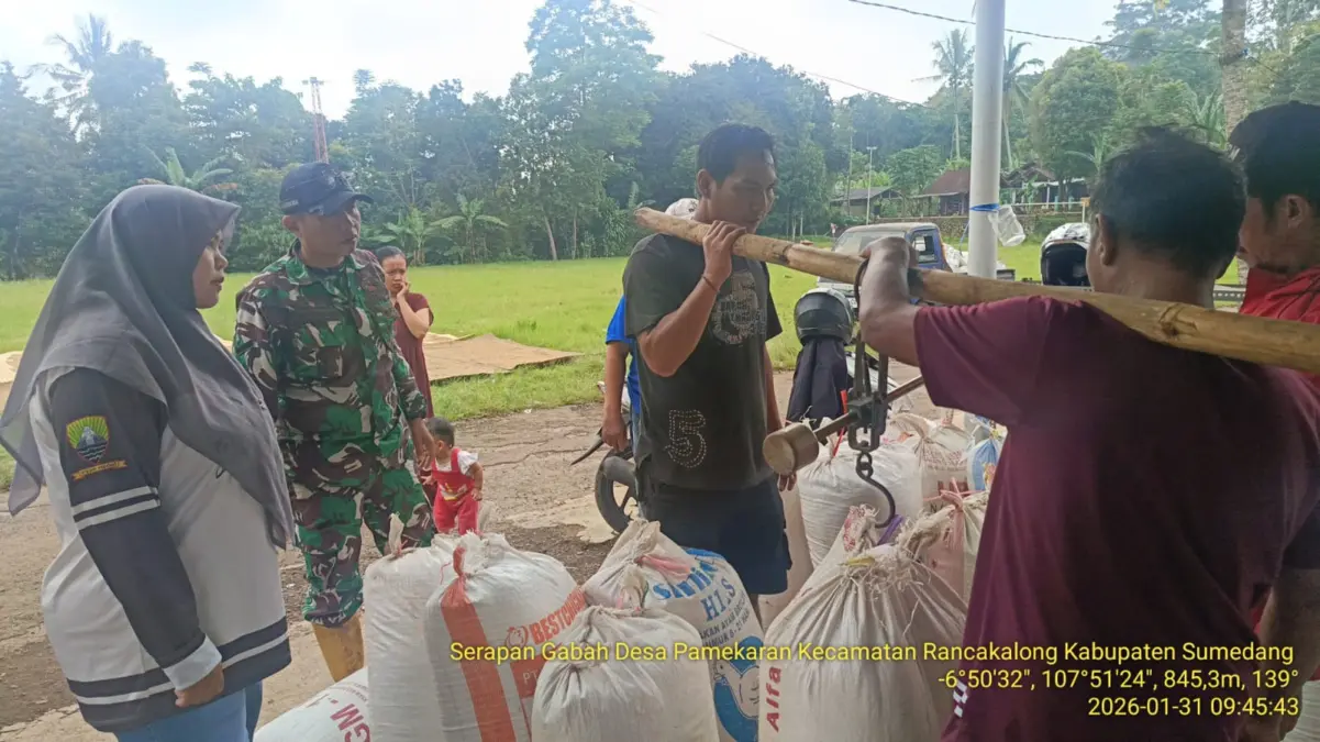 Ketahanan Pangan Jadi Prioritas, Kodim 0610/Sumedang Libatkan Koramil Kawal Gabah Ketahanan Pangan Jadi Prioritas, Kodim 0610/Sumedang Libatkan Koramil Kawal Gabah