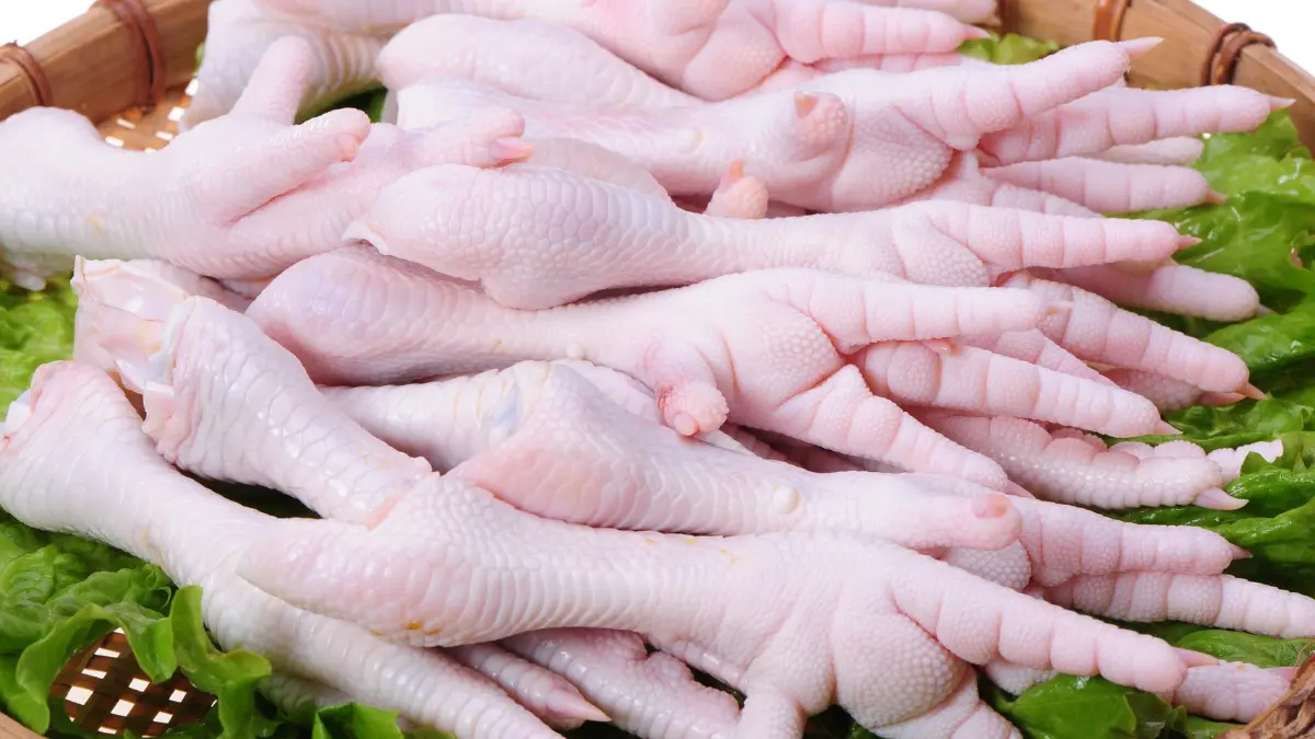Ceker Ayam: Potensi Gizi, Teknologi Sederhana, dan Nilai Tambah Ceker Ayam: Potensi Gizi, Teknologi Sederhana, dan Nilai Tambah