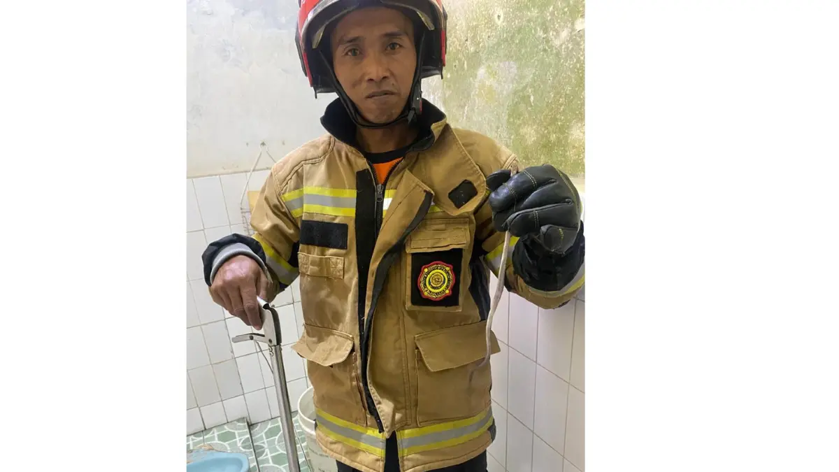 Damkar Tanjungsari Evakuasi Ular di Kamar Mandi Warga, Penanganan Berlangsung Cepat