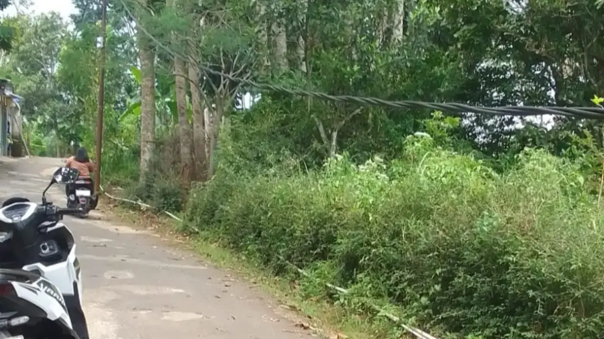 PLN