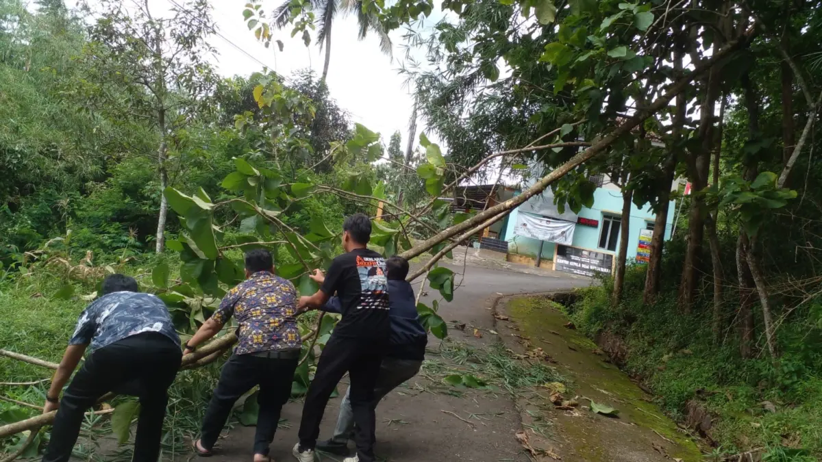 Pohon Tumbang di Jalan Nangorak, Lalin Sempat Tersenda Pohon Tumbang di Jalan Nangorak, Lalin Sempat Tersenda