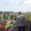 Mayat Pria Ditemukan di Irigasi Sawah