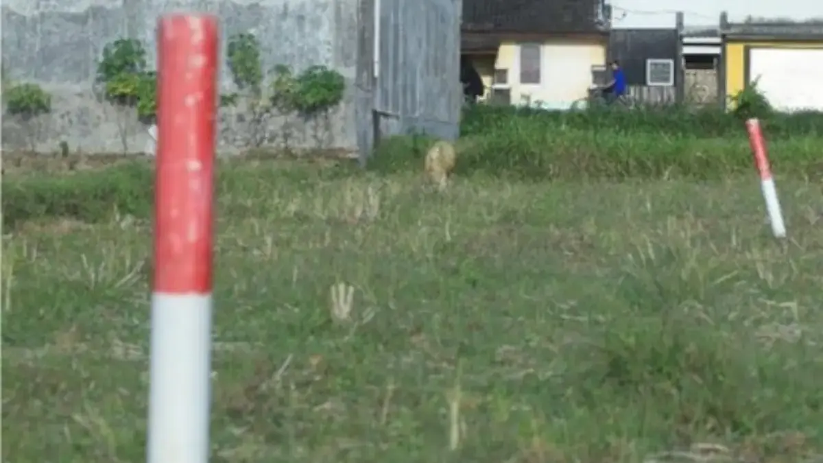 Simak Tips untuk Menjaga Tanah agar Tidak Diserobot Orang Lain