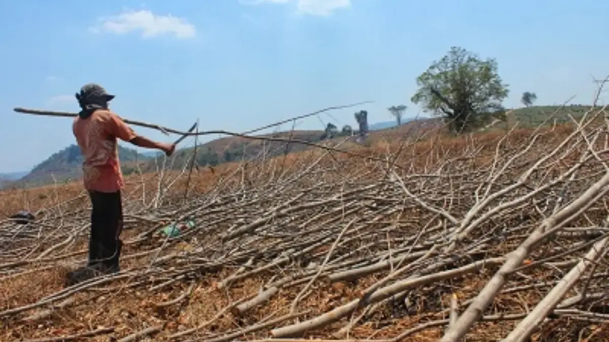 El Nino 2026 Ancam Sumedang, BPBD Petakan Kecamatan Rawan Kekeringan kemarau, kekeringan sumedang
