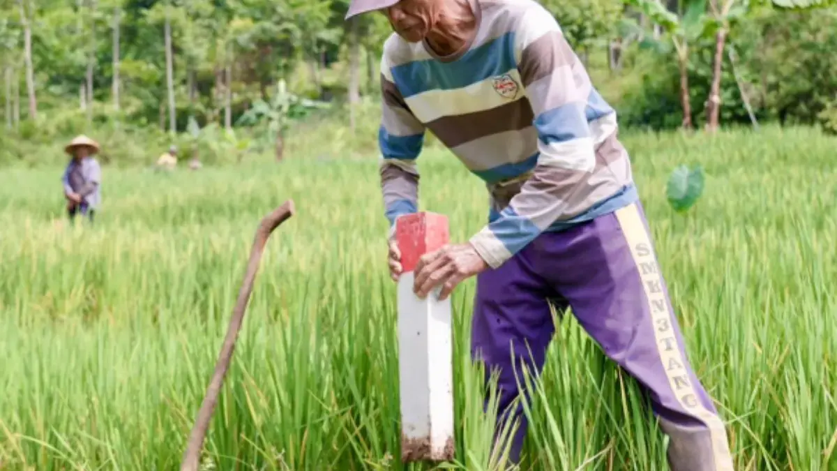 Pasang Patok, Cara Sederhana Cegah Sengketa Tanah dengan Tetangga Pasang Patok, Cara Sederhana Cegah Sengketa Tanah dengan Tetangga