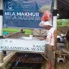 Pokdakan Nila Makmur Ciptakan Kemadirian Pangan